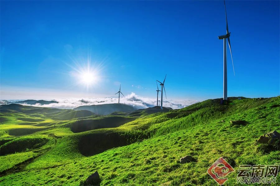你打卡了吗?黑巴草场,最接近天空的南国草原