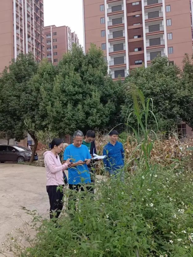 砚山县完成外来入侵植物普查工作
