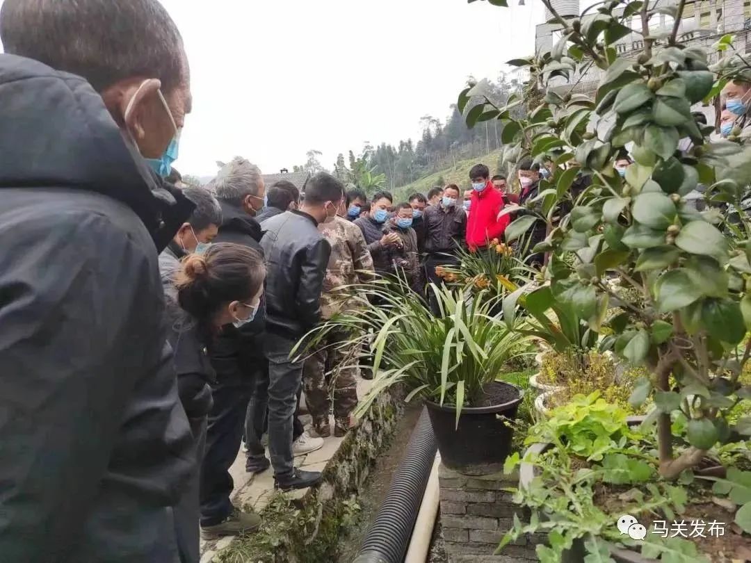 马关:古林箐“两污”治理 洁净到户“俏”了村