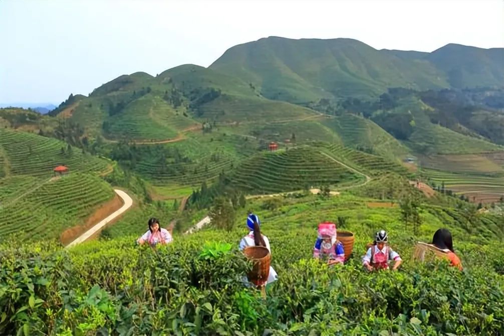 元旦游文山丨登高迎新,阅尽湖光山色