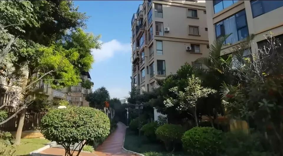 文山这3个“绿美社区”宛若公园!你住哪里?