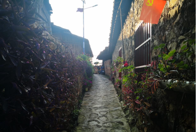 【建设绿美丘北】丘北温浏:“一路一片景 一村一幅画 一家一景点”