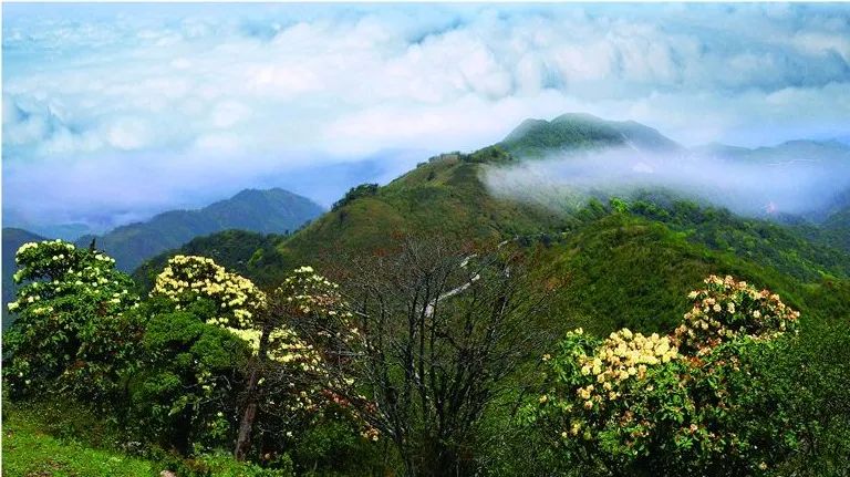 元旦游文山丨登高迎新,阅尽湖光山色