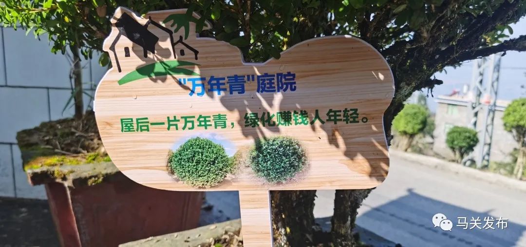 马关:古林箐“两污”治理 洁净到户“俏”了村