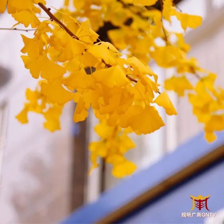广南:来这里打卡,拿出你们的冬日风景大片