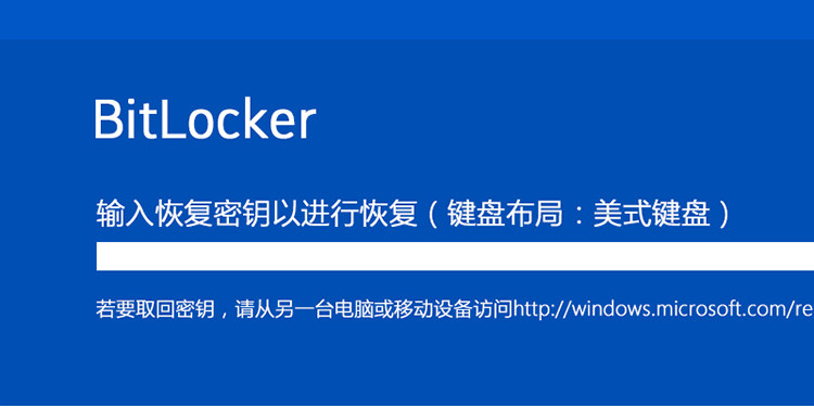 笔记本电脑被BitLocker锁定没密钥,重要数据不忍丢掉?
