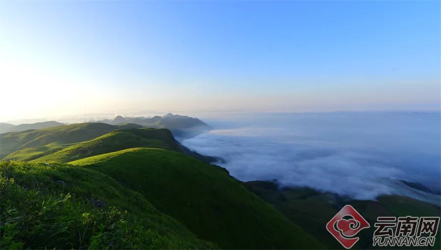 你打卡了吗?黑巴草场,最接近天空的南国草原