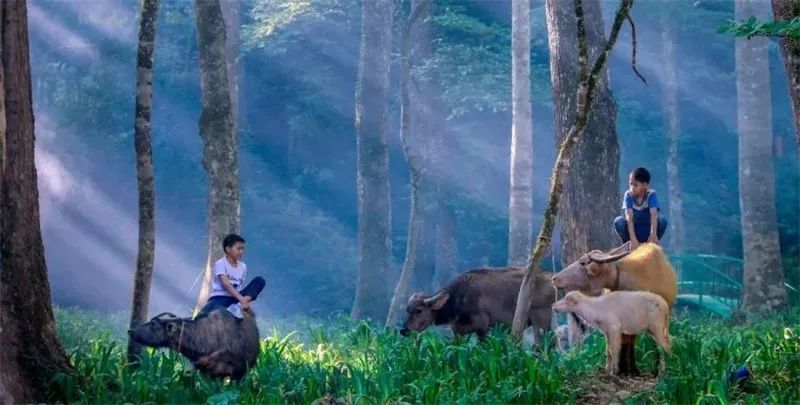 元旦游文山丨登高迎新,阅尽湖光山色