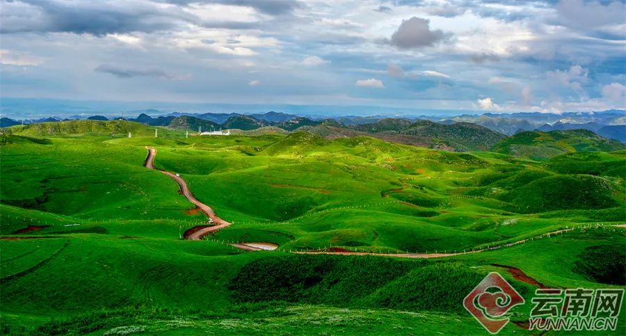 你打卡了吗?黑巴草场,最接近天空的南国草原