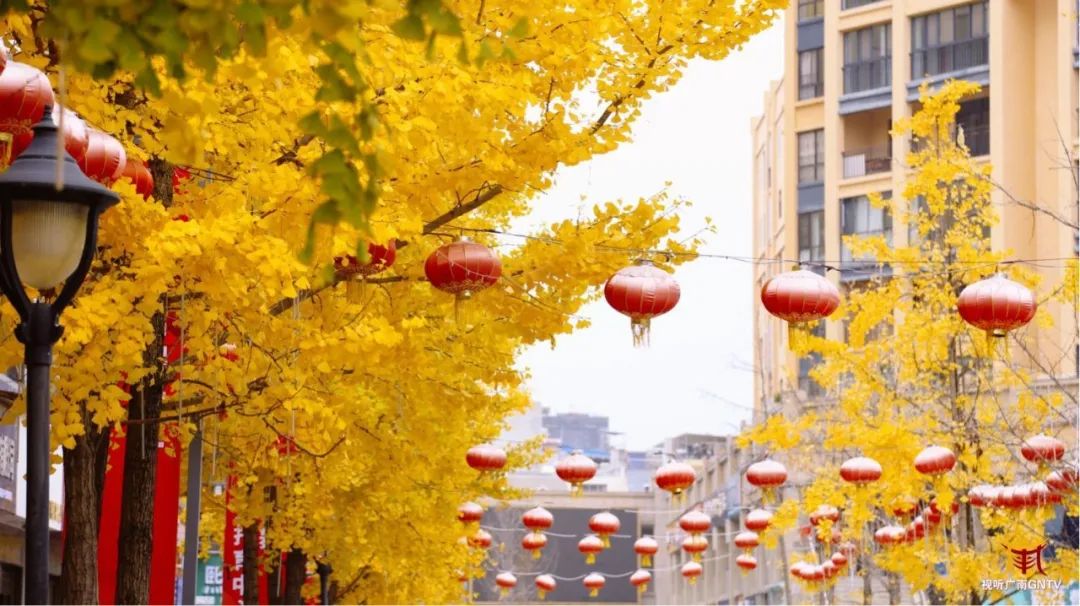 广南:来这里打卡,拿出你们的冬日风景大片