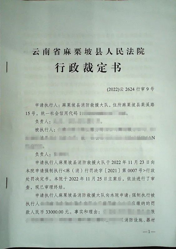麻栗坡县人民法院强制执行一起消防行政处罚案件