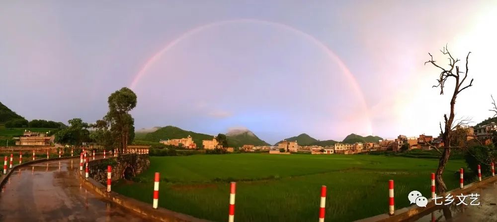 阿猛十景之大桥烟柳