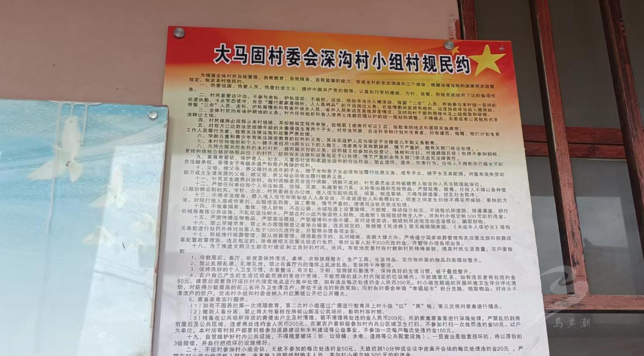 【乡村振兴】大栗树乡:深沟村“五个有”绘就绿美村庄新画卷