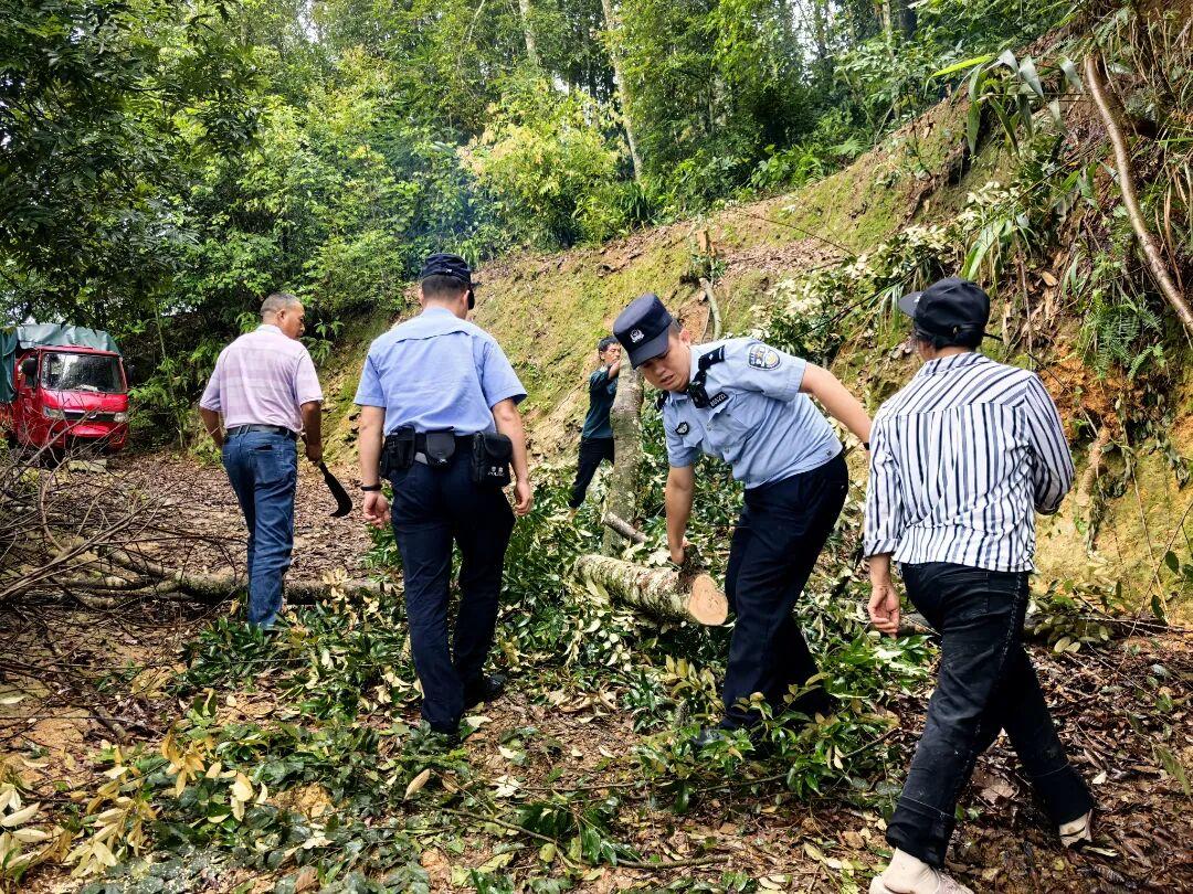 麻栗坡公安排查汛期道路隐患 徒手搬离落石断木除险情