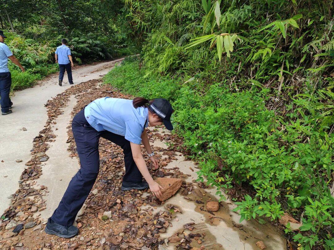 麻栗坡公安排查汛期道路隐患 徒手搬离落石断木除险情